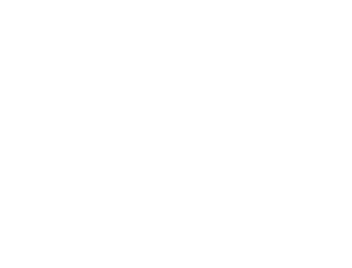 FIT — Fine Instrument Technology